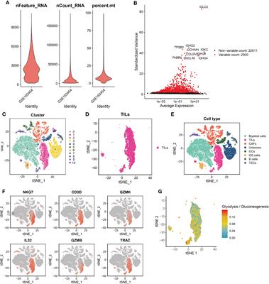 Frontiers | A Novel Molecular Signature For Predicting Prognosis And ...